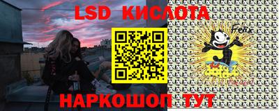 крисы Кунгур
