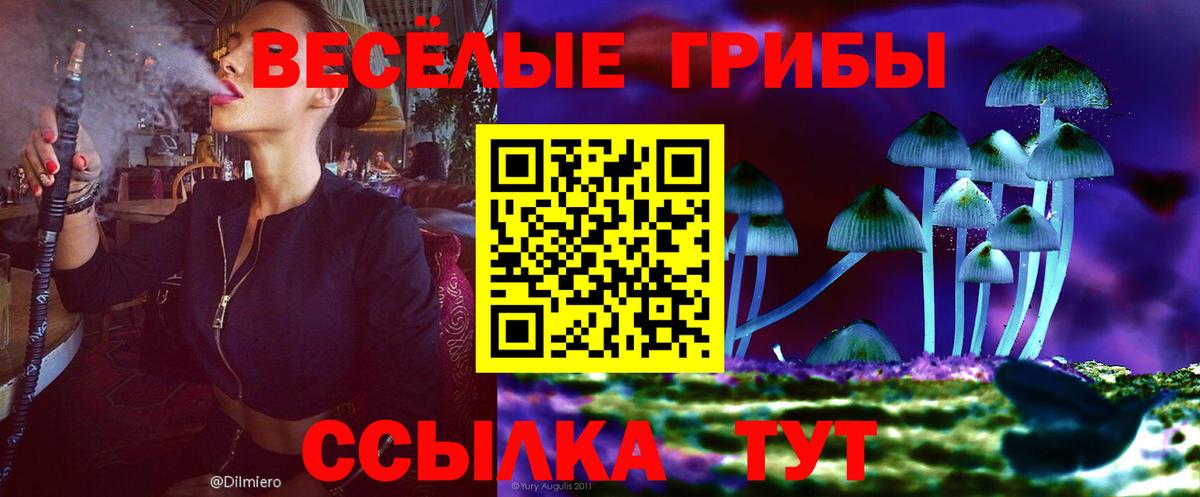 Галлюциногенные грибы мухоморы Иваново