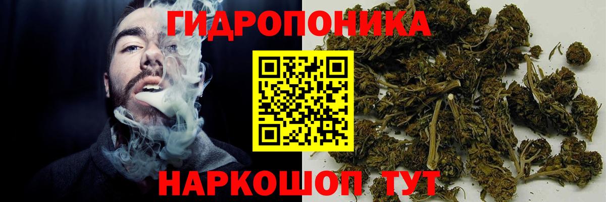 Марихуана конопля Иваново
